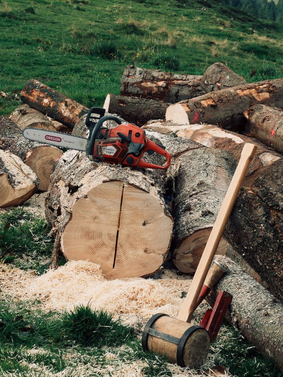 A chainsaw resting on freshly bucked logs in a field